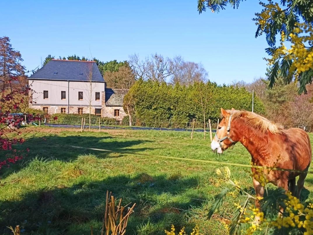 Chambre D'Hote En Gite - Moulin De La Houssaie - Broceliande Guer Экстерьер фото