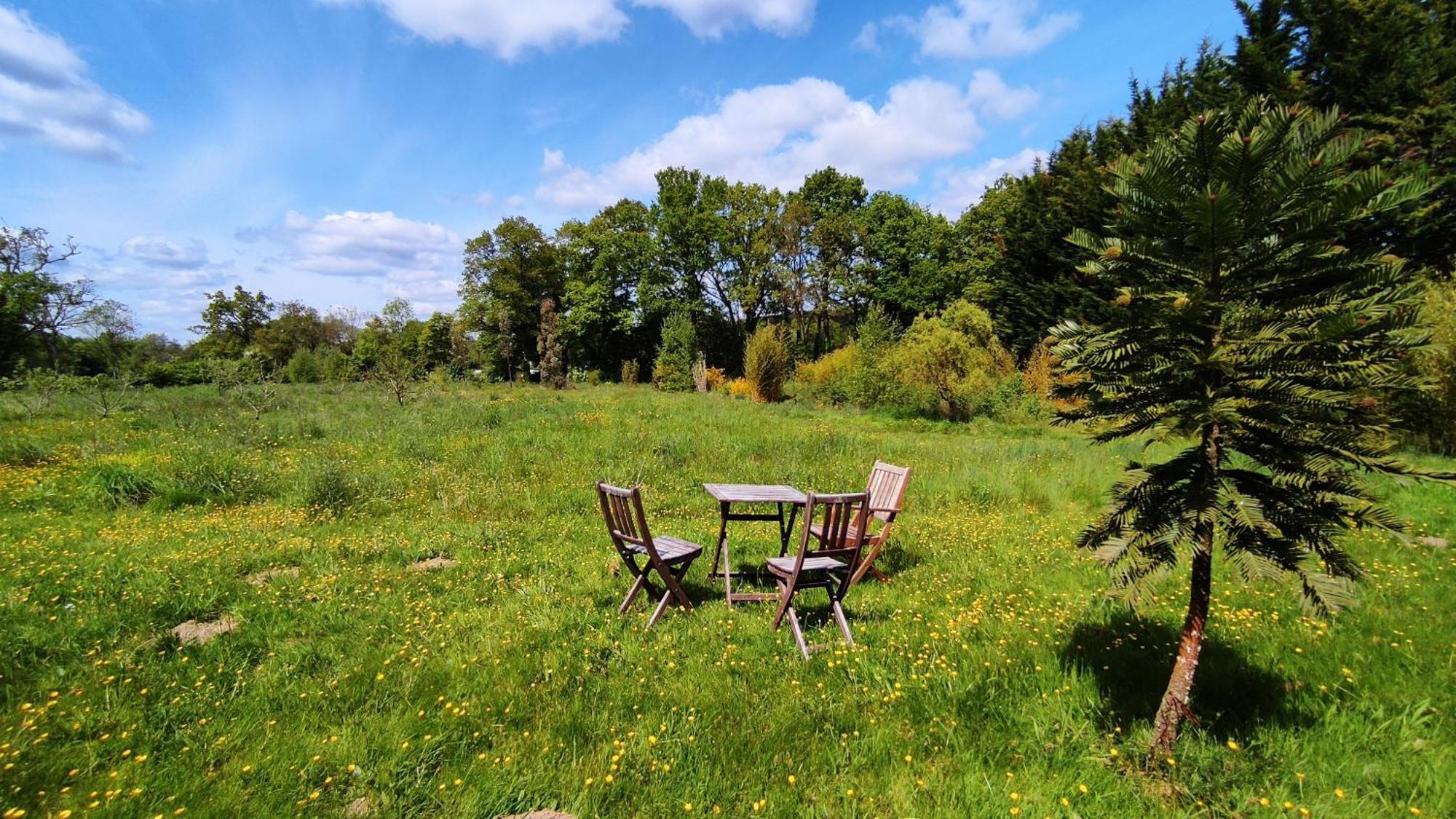 Chambre D'Hote En Gite - Moulin De La Houssaie - Broceliande Guer Экстерьер фото